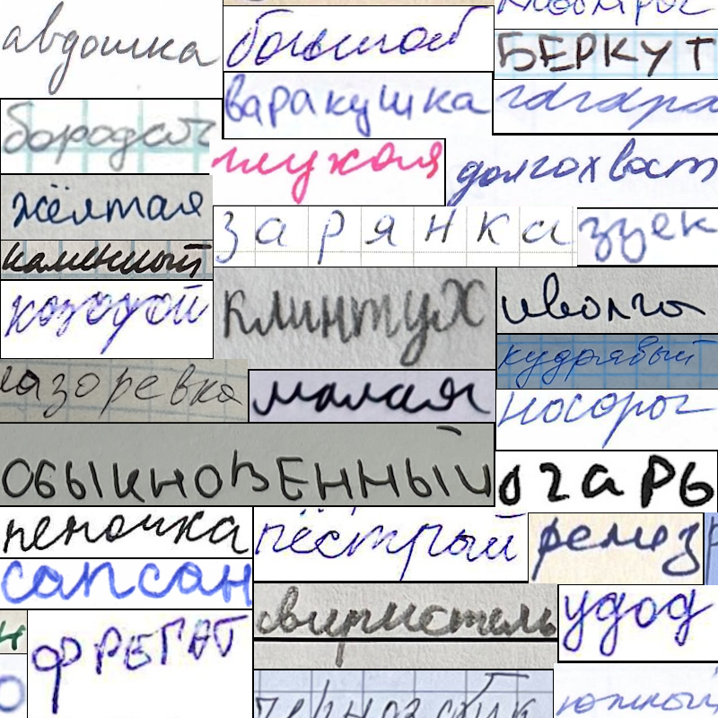 Несколько изображений из датасета